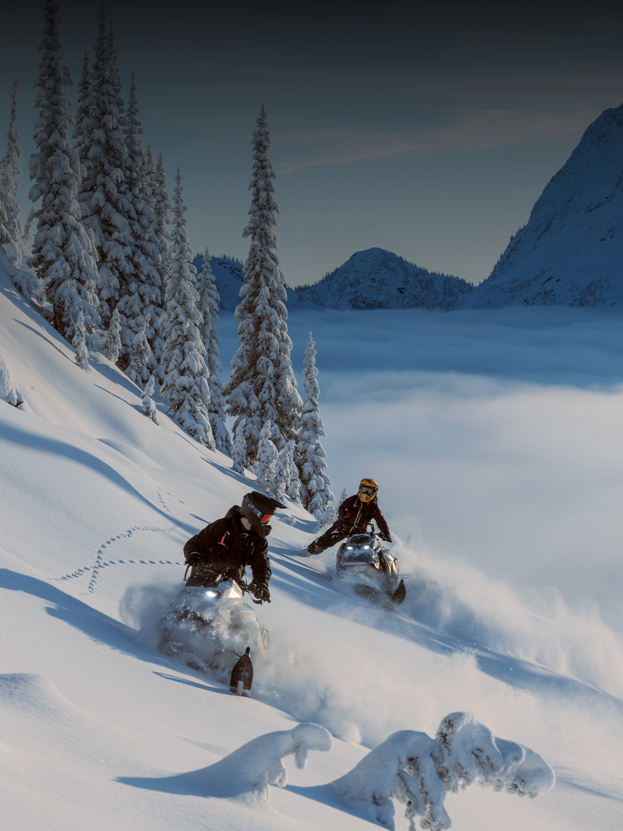 SkiDoo & Lynx Motorschlitten Zwei Lynx-Schneemobile in winterlicher Landschaft.